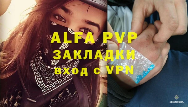 дживик Алзамай