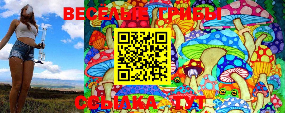 Псилоцибиновые грибы Magic Shrooms Апрелевка
