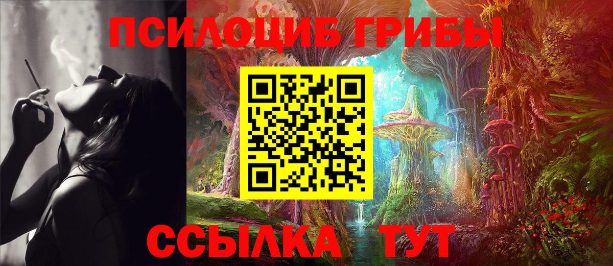 Апрелевка  Галлюциногенные грибы ЛСД  Вход с VPN 
